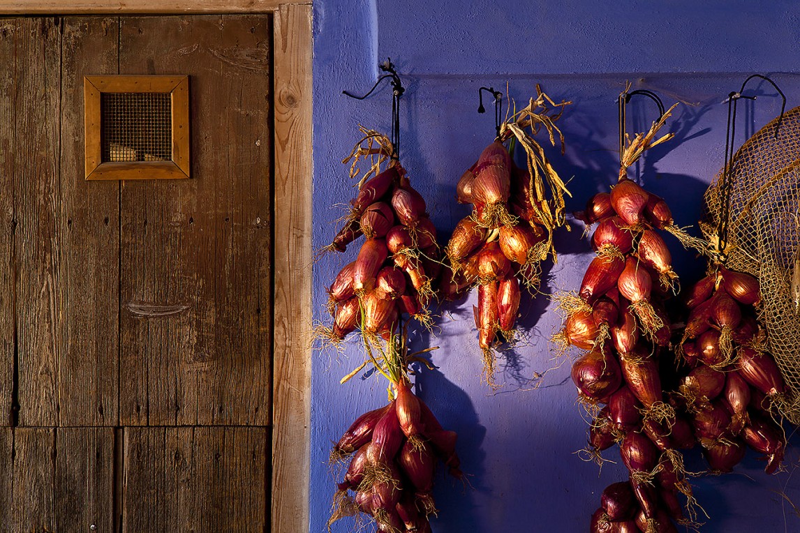 Cantina Pantesca