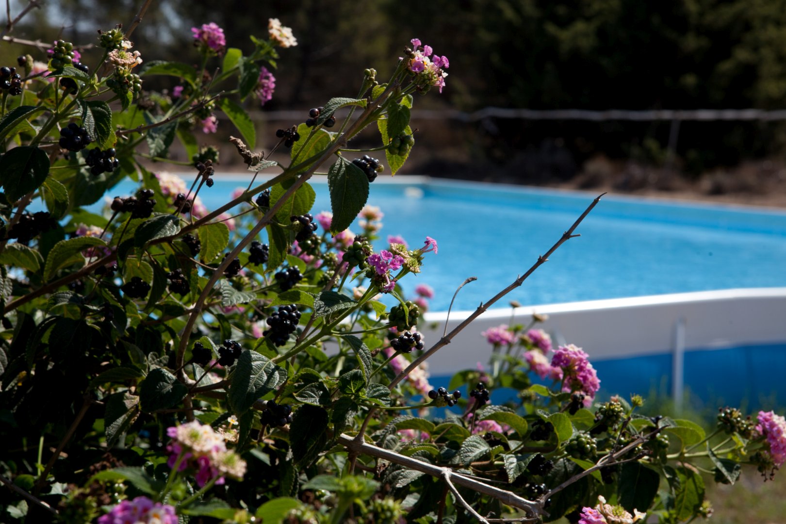 Santa Teresa di Gallura, 10