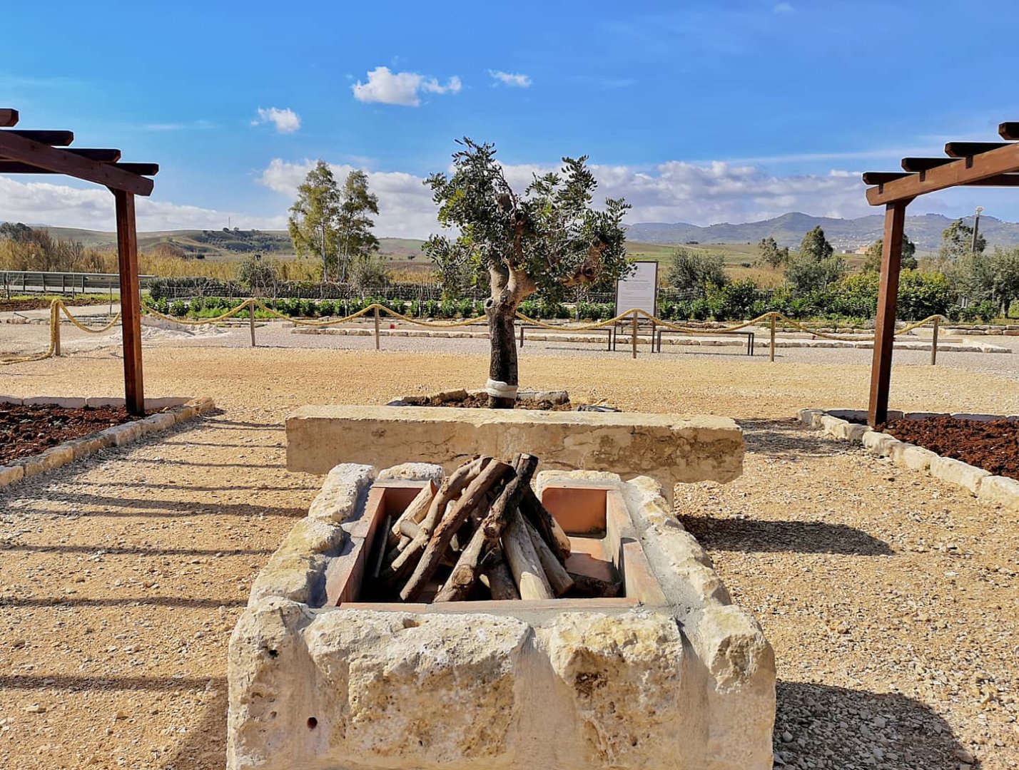 Foto 8 Tenute Baglio Passofondo Alcamo, 07