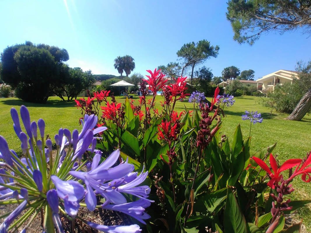 Foto 15 Horse Country Resort Congress & Spa Arborea, 14