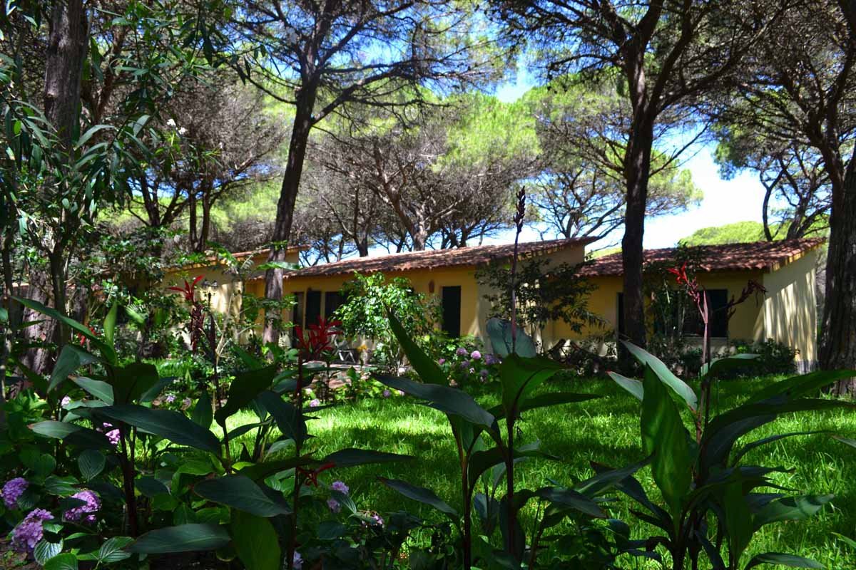 Foto 17 Horse Country Resort Congress & Spa Arborea, 16