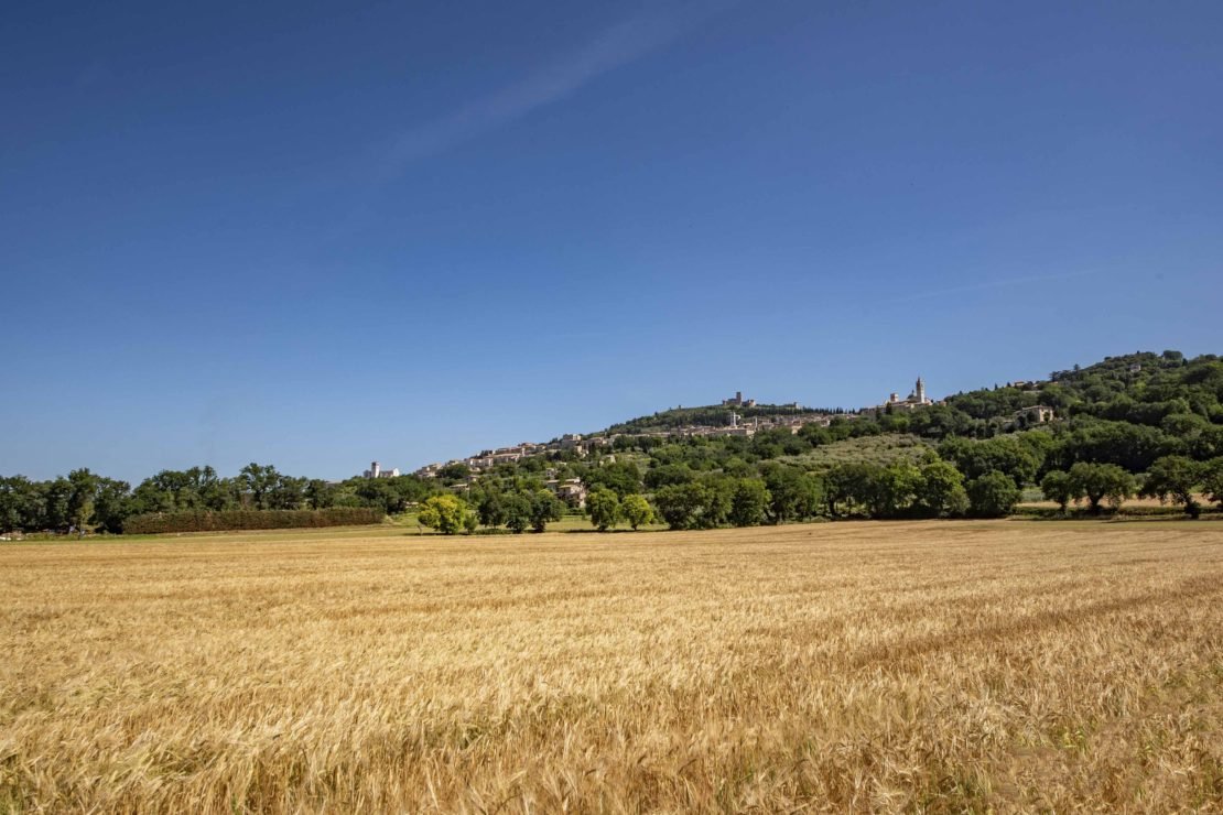 Foto 5 Giotto Luxury Country House Assisi, 04