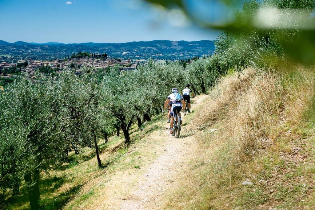 Foto 9 Agriturismo Malvarina Assisi, 08