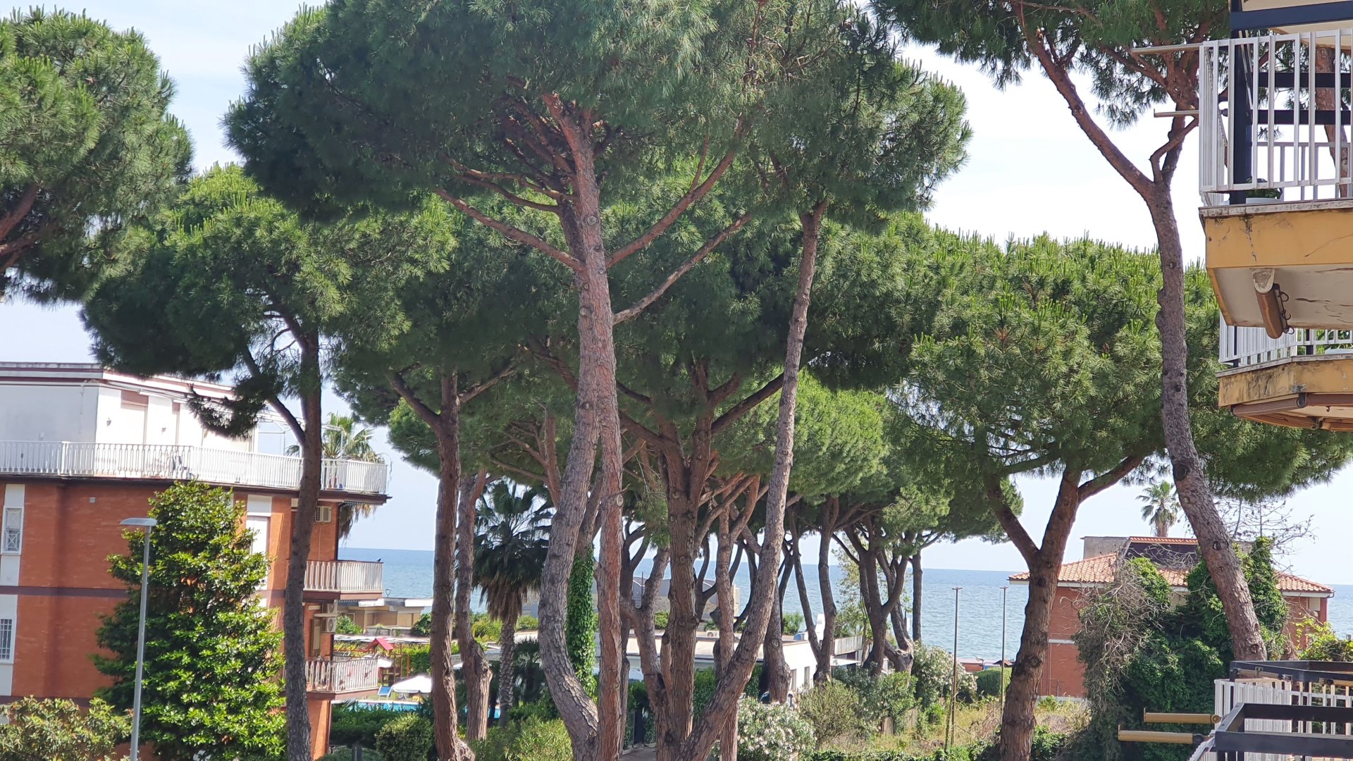 Foto 13 Danyshome Apartments Terracina, 12