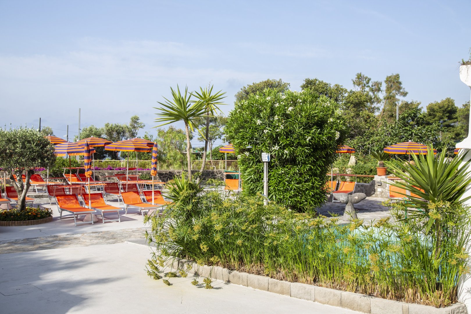 Foto 17 Hotel La Mandorla Barano d'Ischia - Maronti, 16