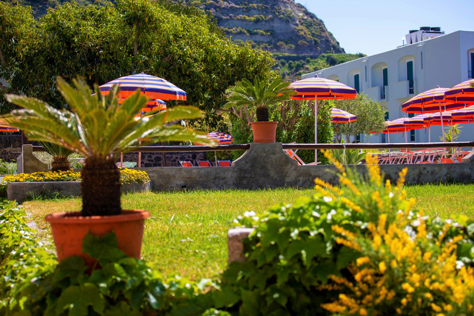 Foto 29 Hotel La Mandorla Barano d'Ischia - Maronti, 28