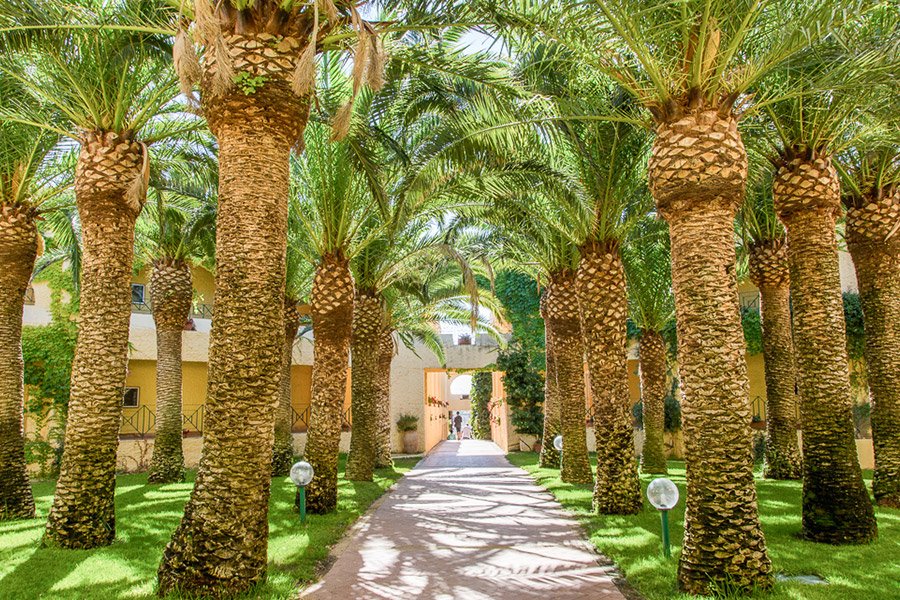 Foto 4 Mangia’s Brucoli - Sicily - Autograph Collection Brucoli, 03