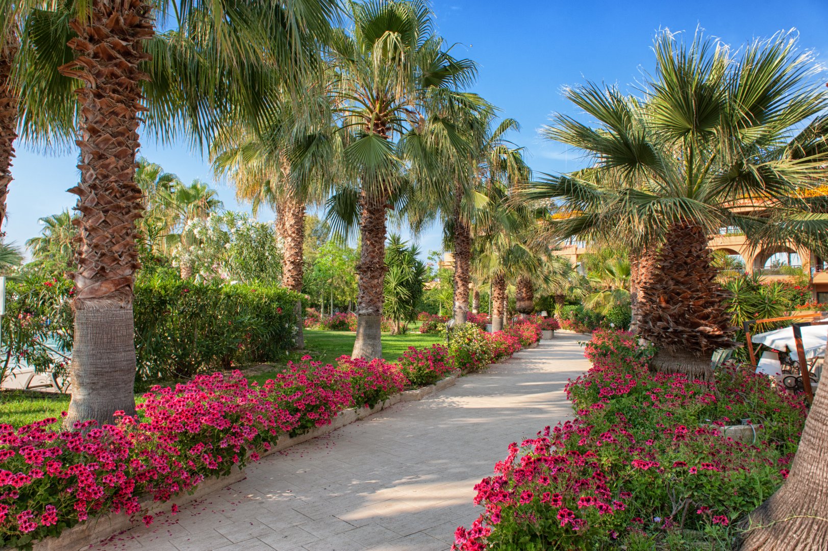 Campofelice di Roccella, 11