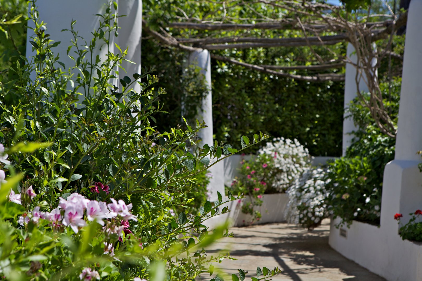 Foto 6 Hotel Bellavista Anacapri, 05