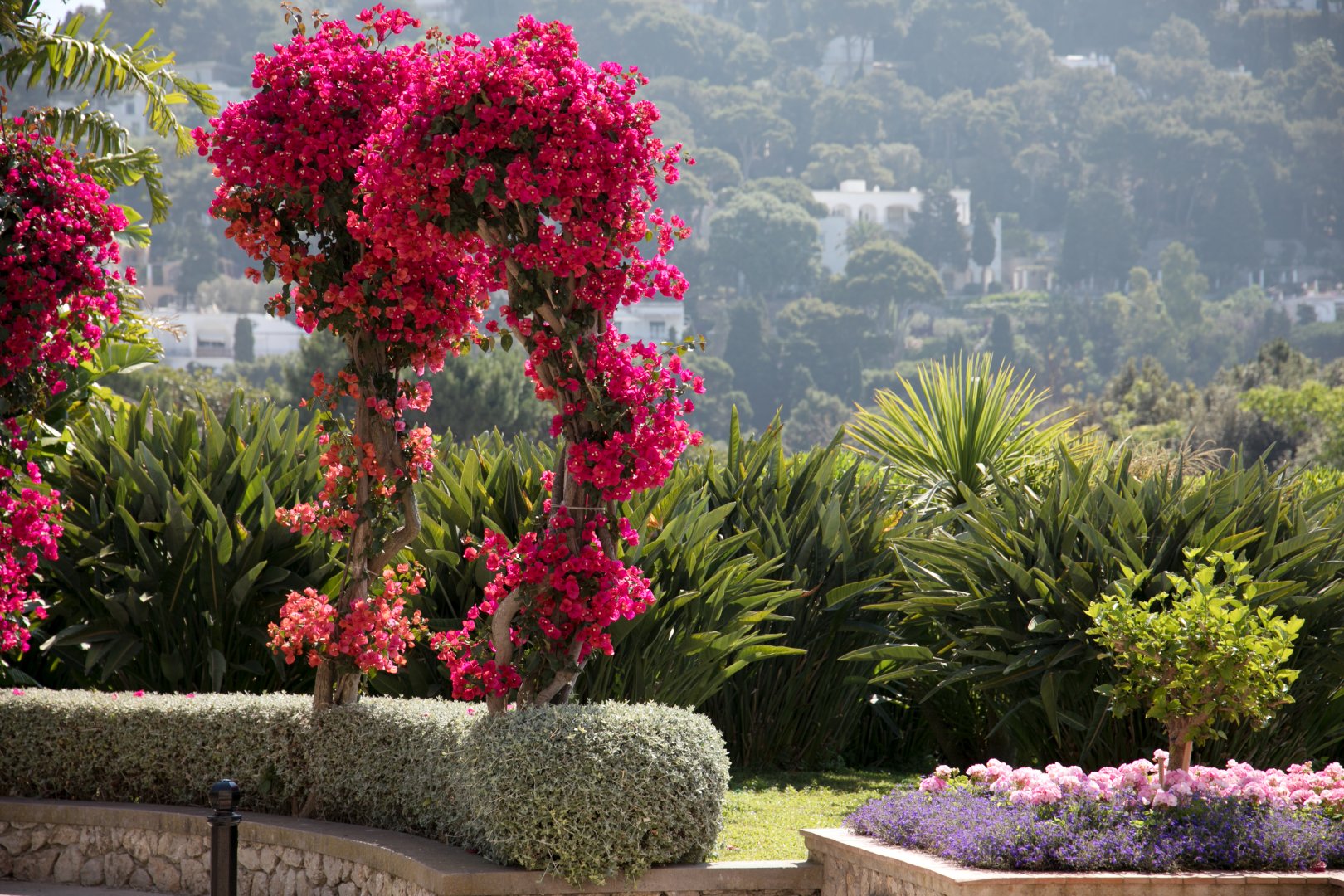 Foto 9 Hotel Luna Capri, 08