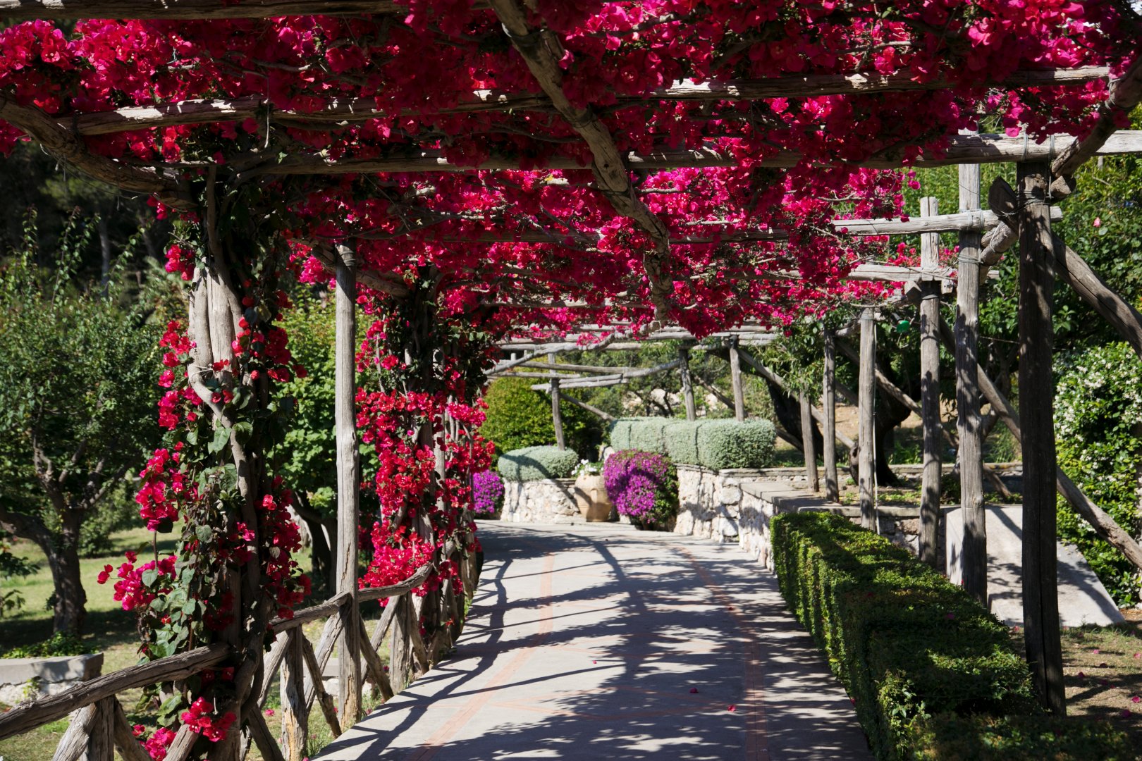 Foto 24 Hotel Luna Capri, 23