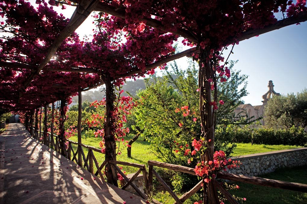 Foto 45 Hotel Luna Capri, 44