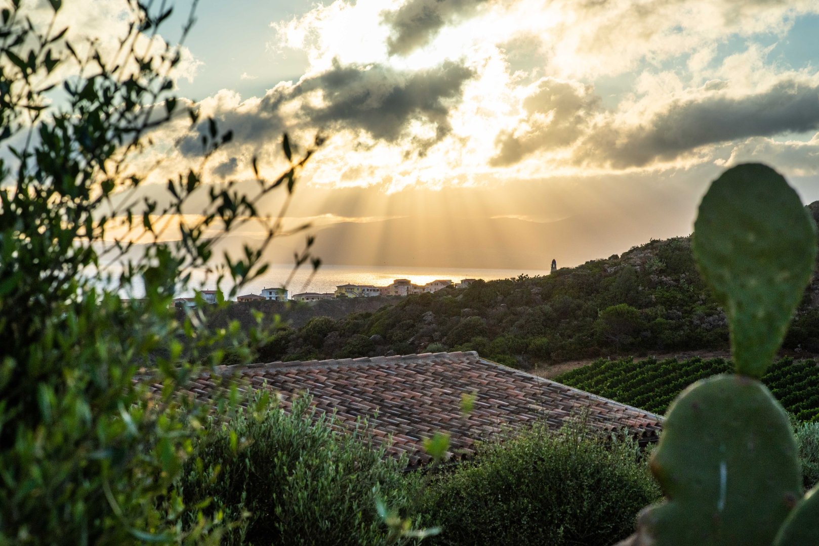 Foto 23 Bajaloglia Resort Castelsardo, 22