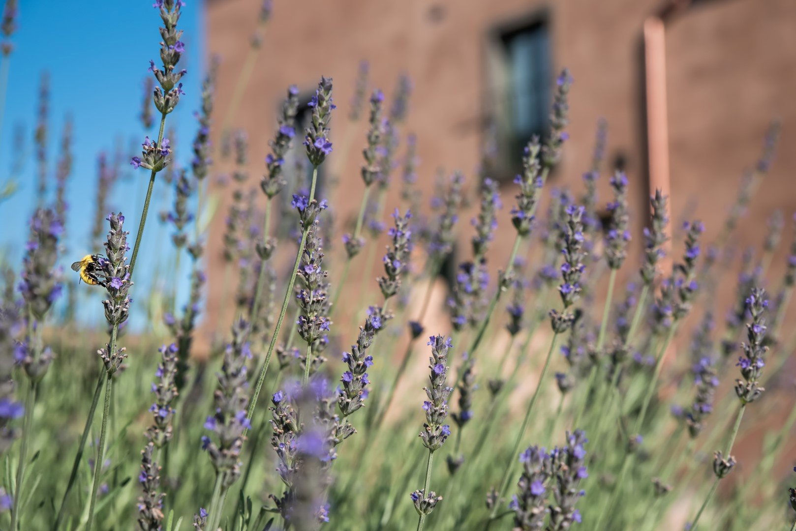 Foto 9 Cavanera Etnea Resort & Wine Experience Castiglione di Sicilia, 08