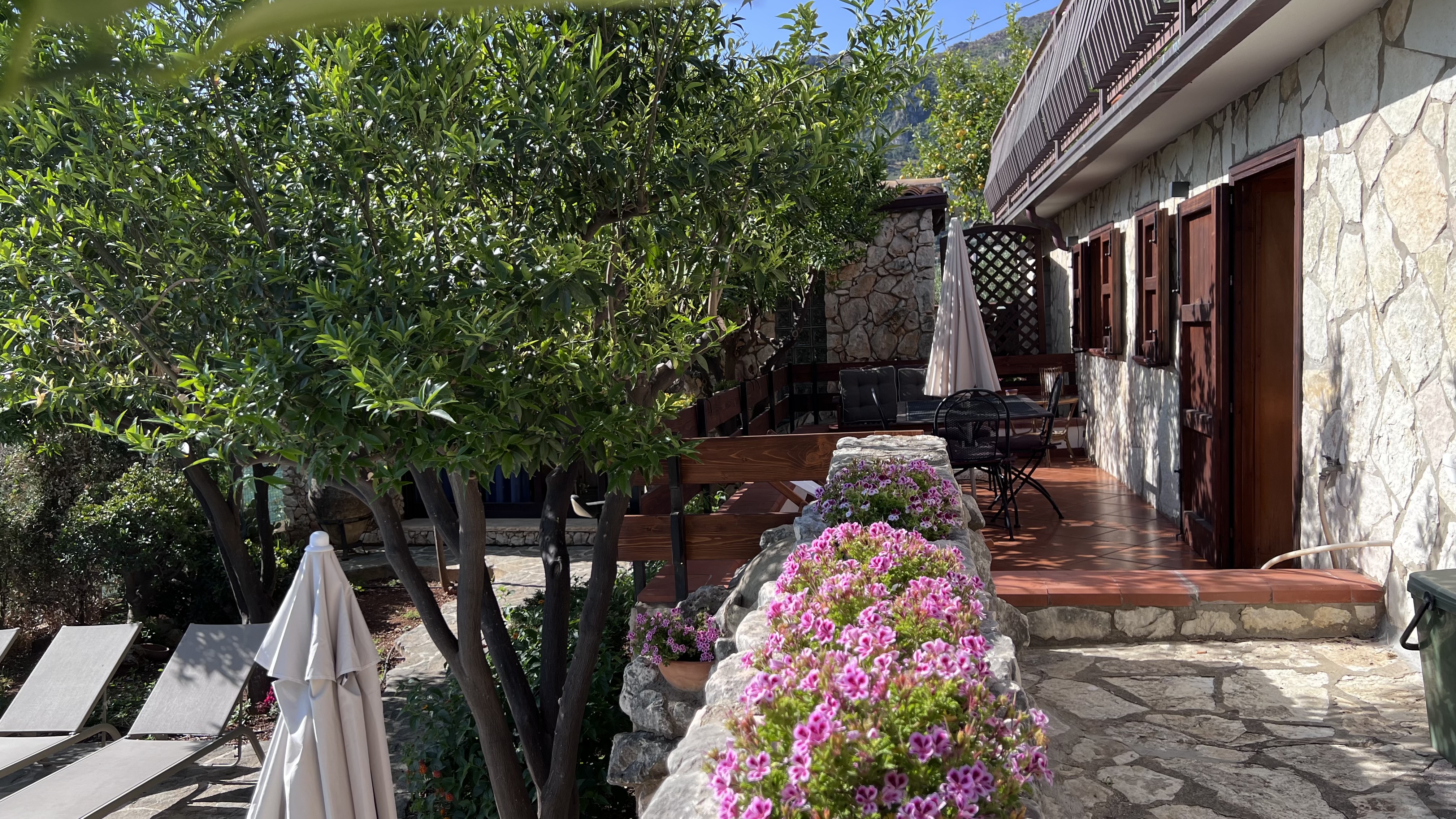 Foto 4 Villa Patrizia Edera Castellammare del Golfo, 03
