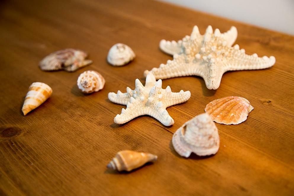 Foto 6 B&B Kolors Castellammare del Golfo, 05