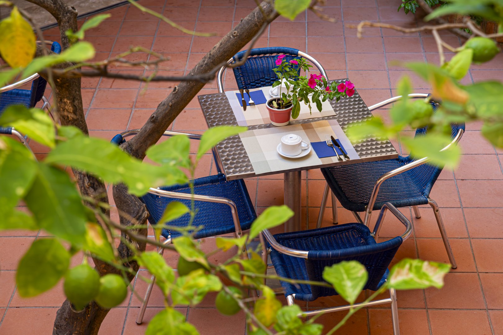 Foto 12 Hotel Punta Nord Est Castellammare del Golfo, 11