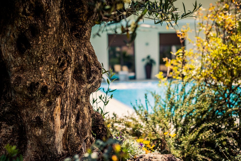 Foto 9 Hotel & Spa Riviera Castelsardo, 08