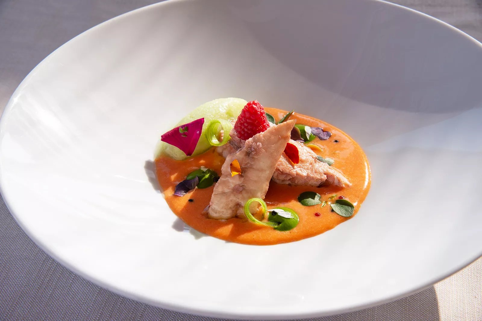 Castagneto Carducci, 06