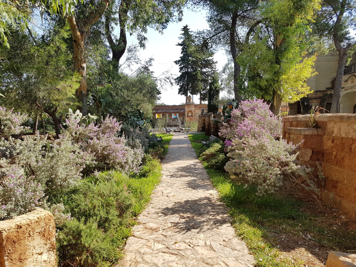 Foto 3 Tenute Al Bano Cellino San Marco, 02