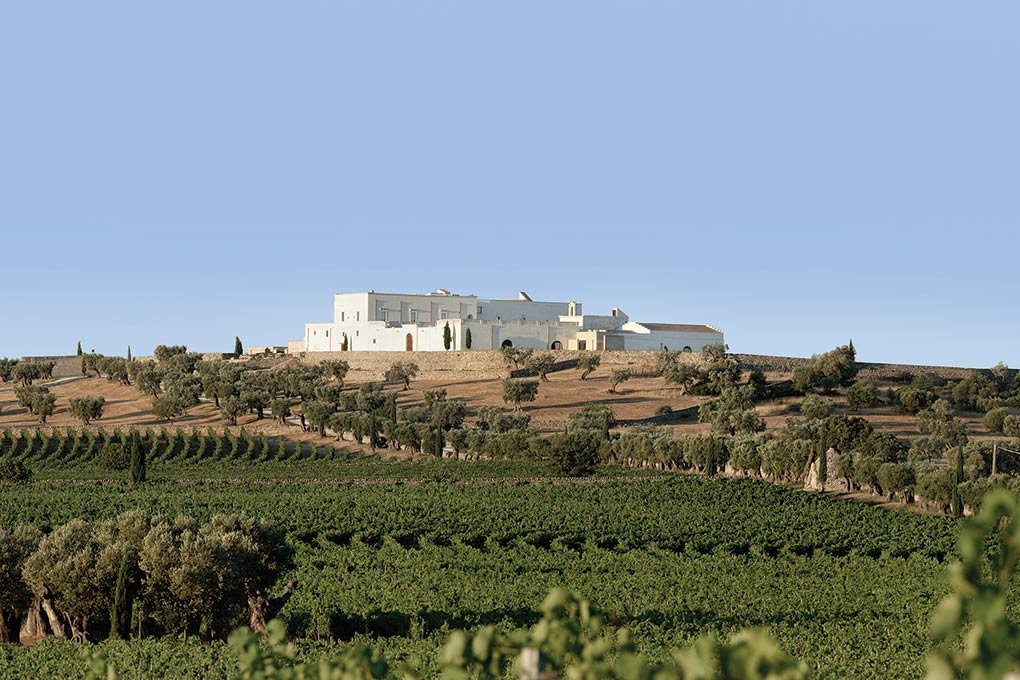 Foto 2 Masseria Amastuola Wine Resort Crispiano, 01