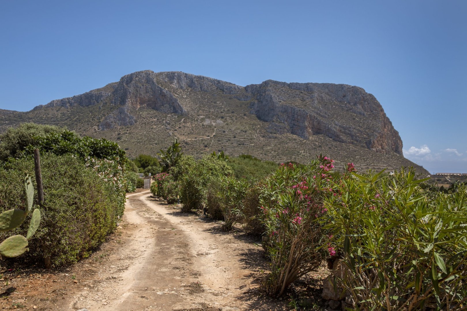 Foto 17 Luxury Villa Le Pigne Favignana Isola di Favignana, 16