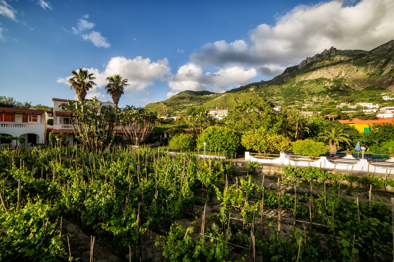 Foto 2 Residence San Domenico Forio d'Ischia, 01