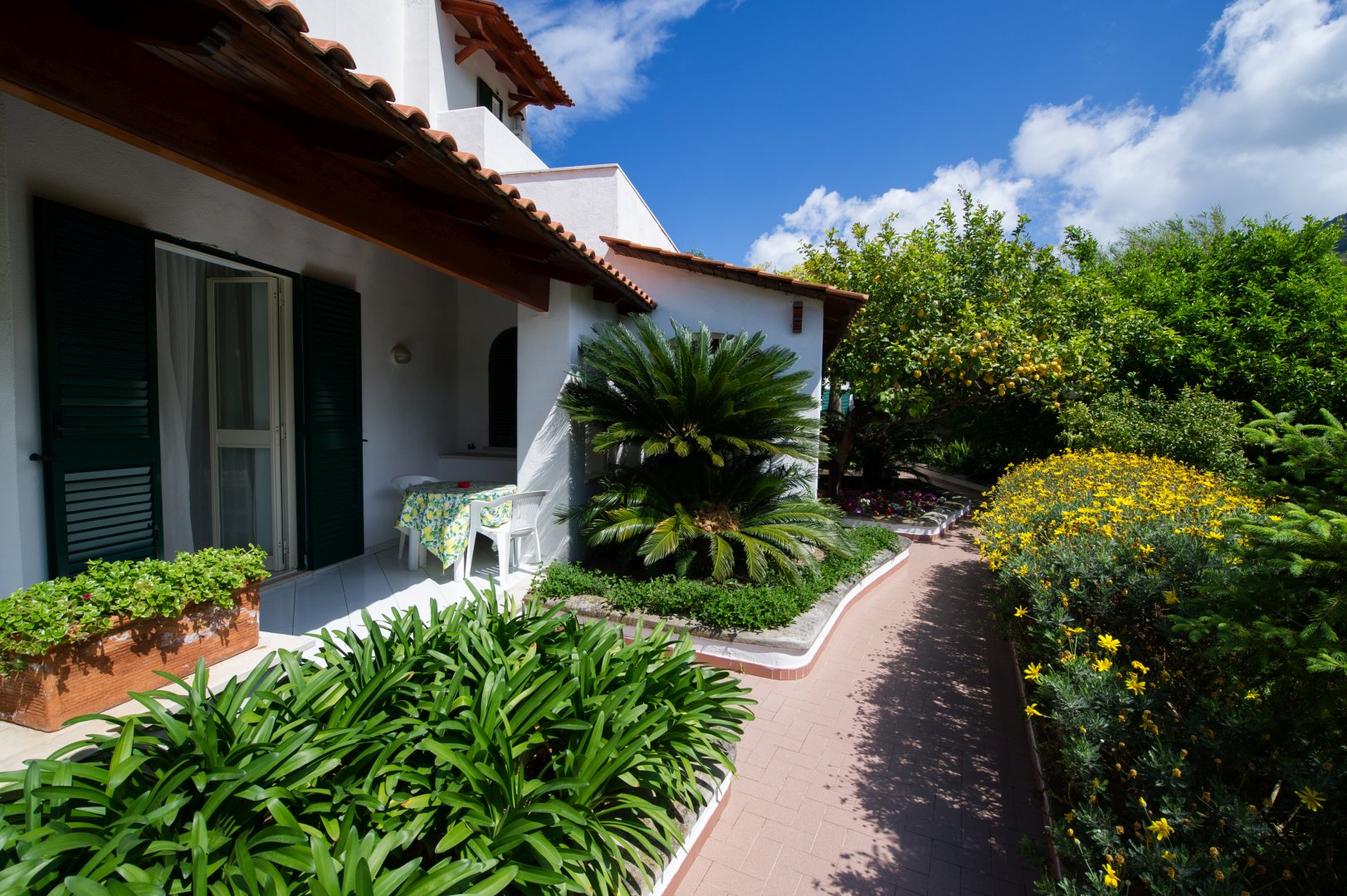 Foto 7 Residence San Domenico Forio d'Ischia, 06