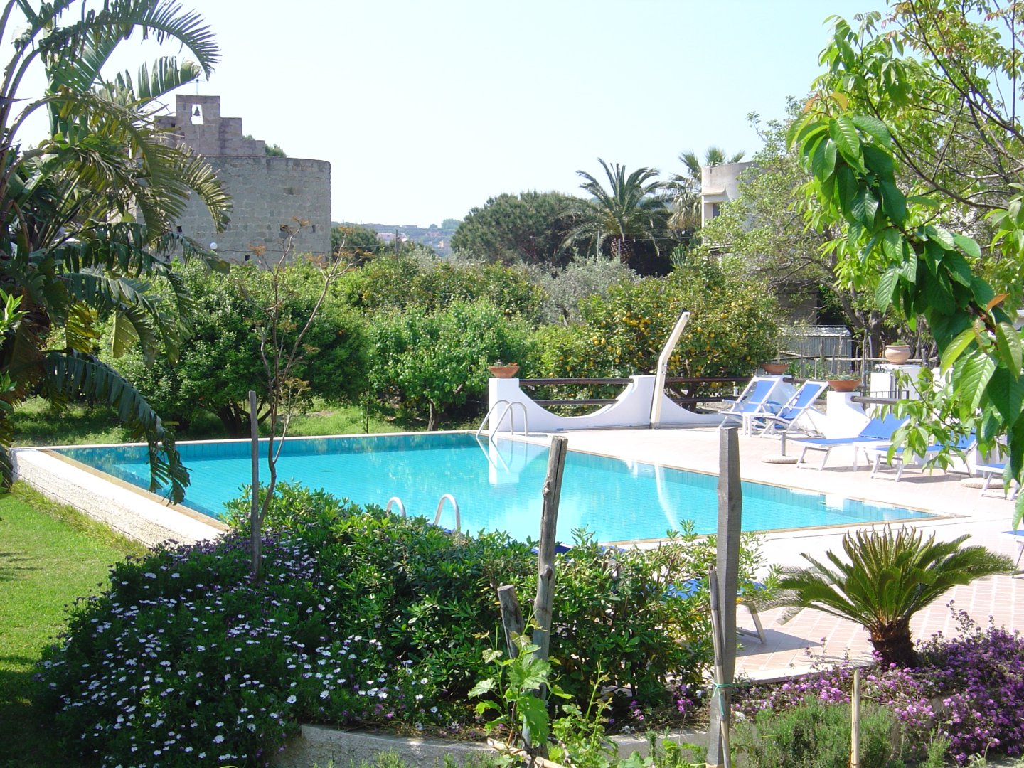 Foto 10 Residence San Domenico Forio d'Ischia, 09