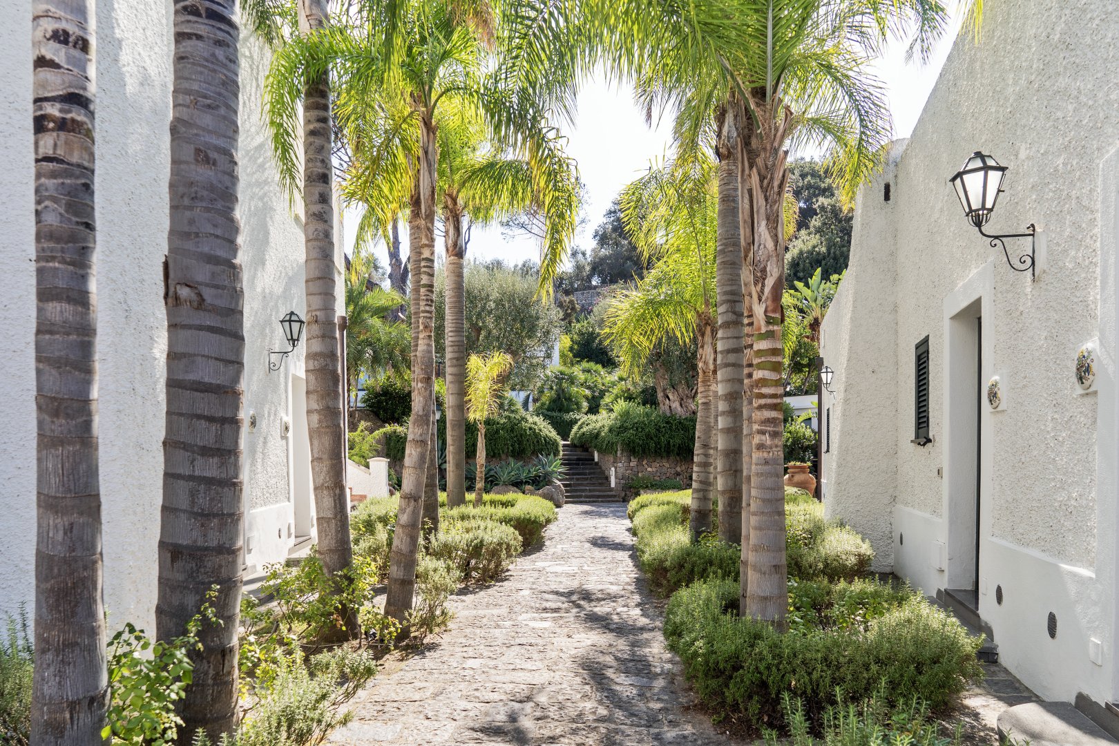 Foto 25 Botania Relais & Spa Forio d'Ischia, 24