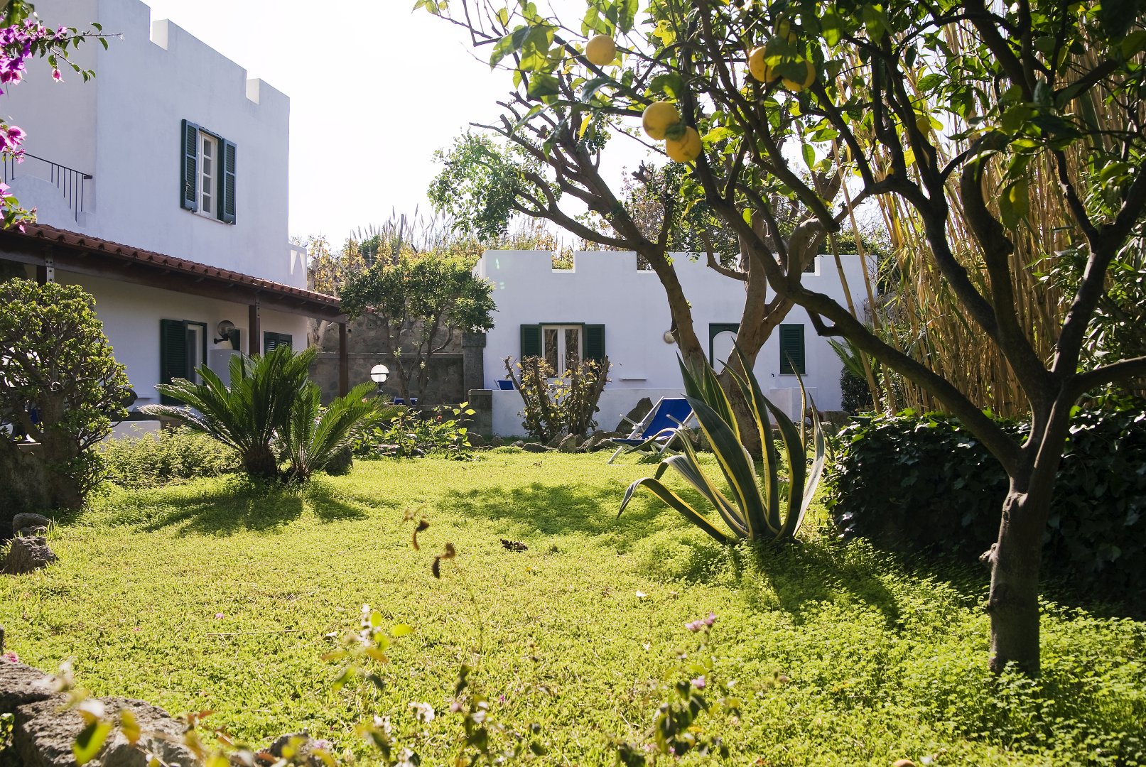 Foto 16 Park Hotel Terme Mediterraneo Forio d'Ischia, 15