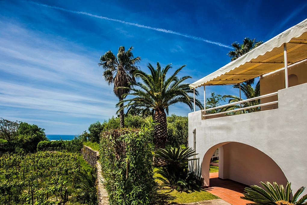 Foto 4 Residence Palummera Forio d'Ischia, 03