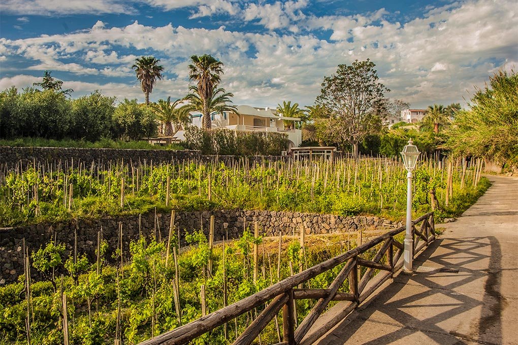 Foto 27 Residence Palummera Forio d'Ischia, 26