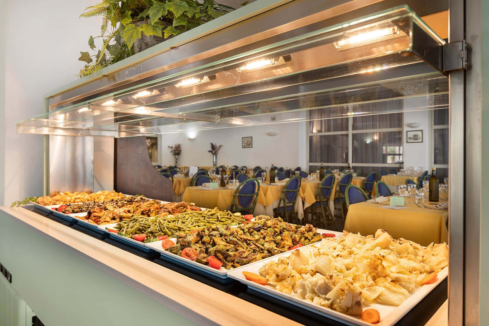 Foto 6 Hotel Terme Royal Palm Forio d'Ischia, 05