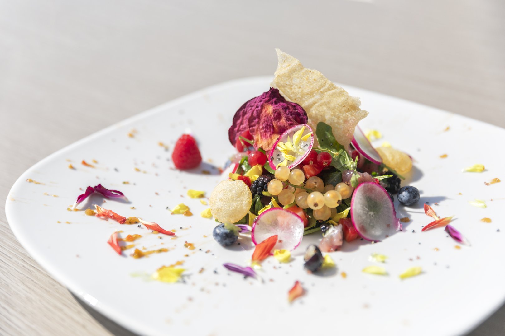 Foto 12 Royal Sunset Forio d'Ischia, 11