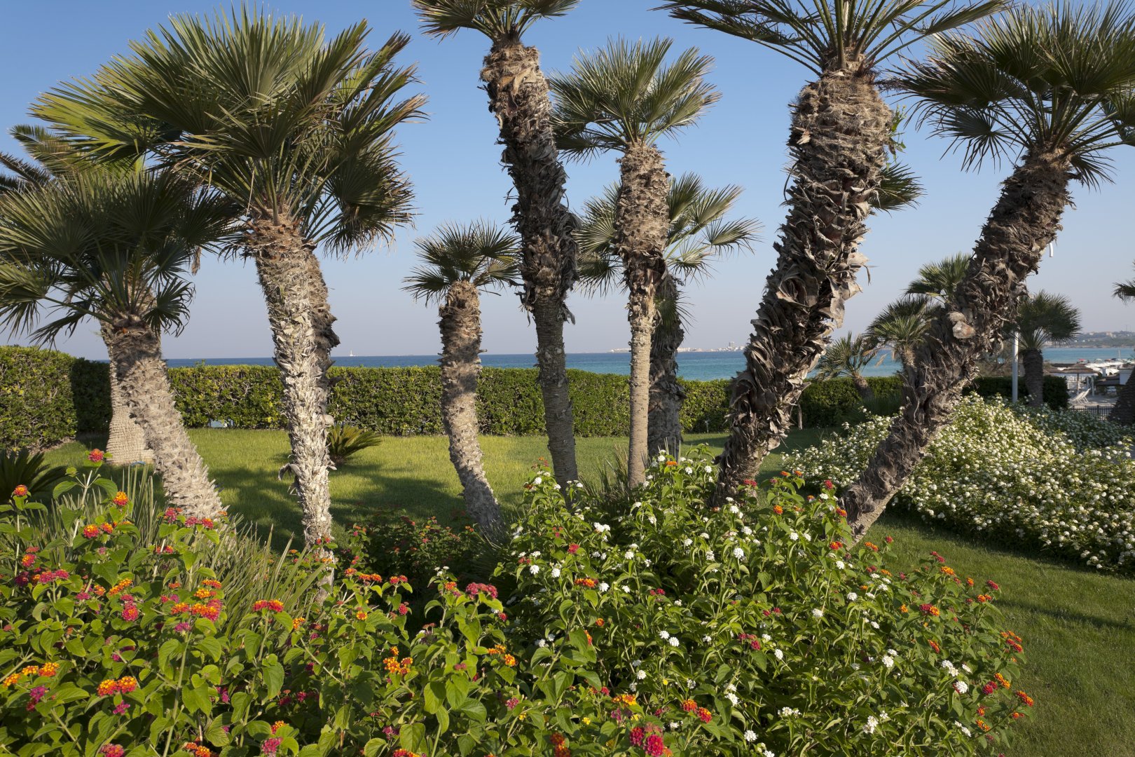 Foto 19 Grand Hotel Costa Brada Gallipoli, 18