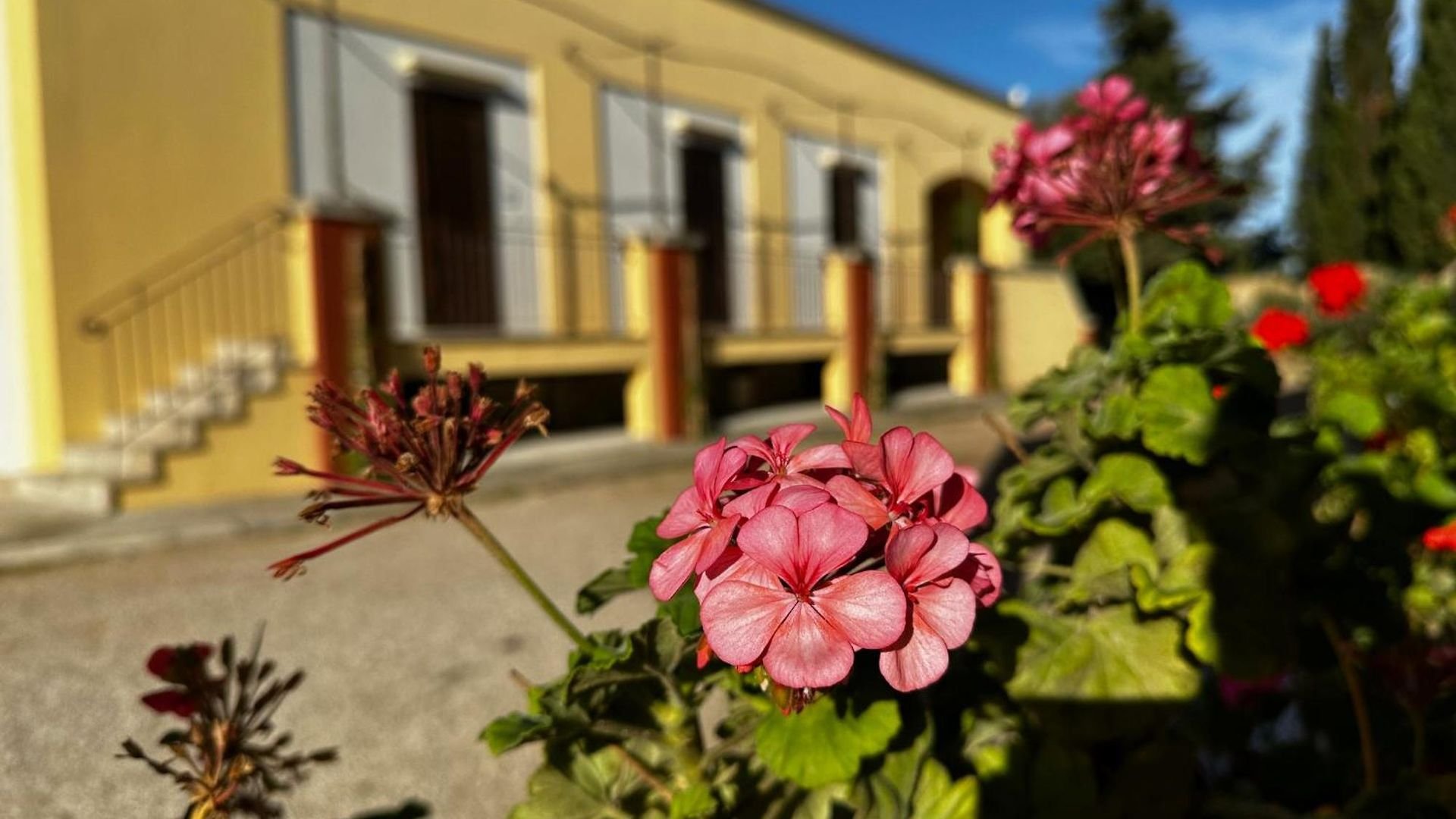 Foto 6 Agriturismo Il Trappeto Gallipoli, 05