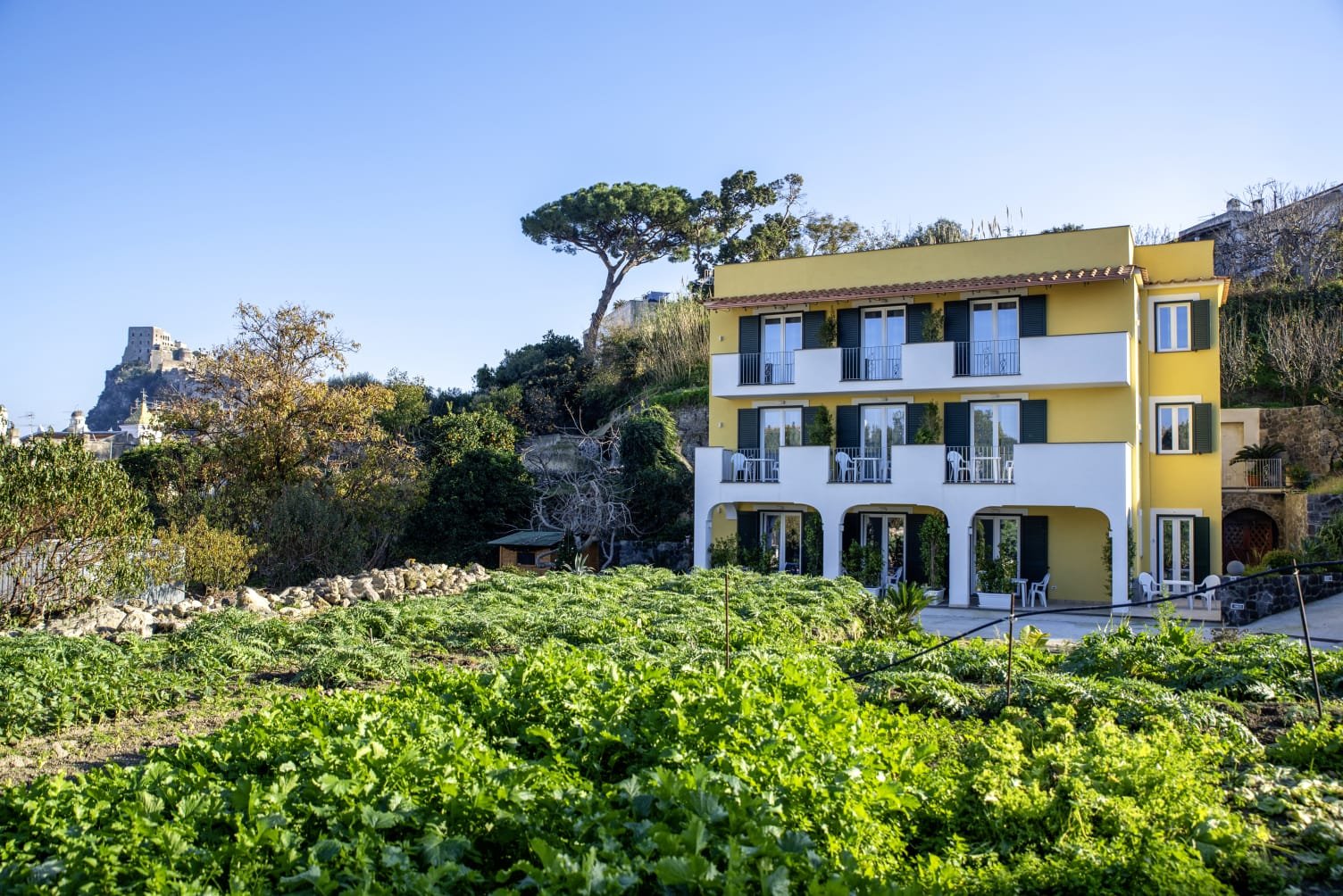 Ischia Porto, 02