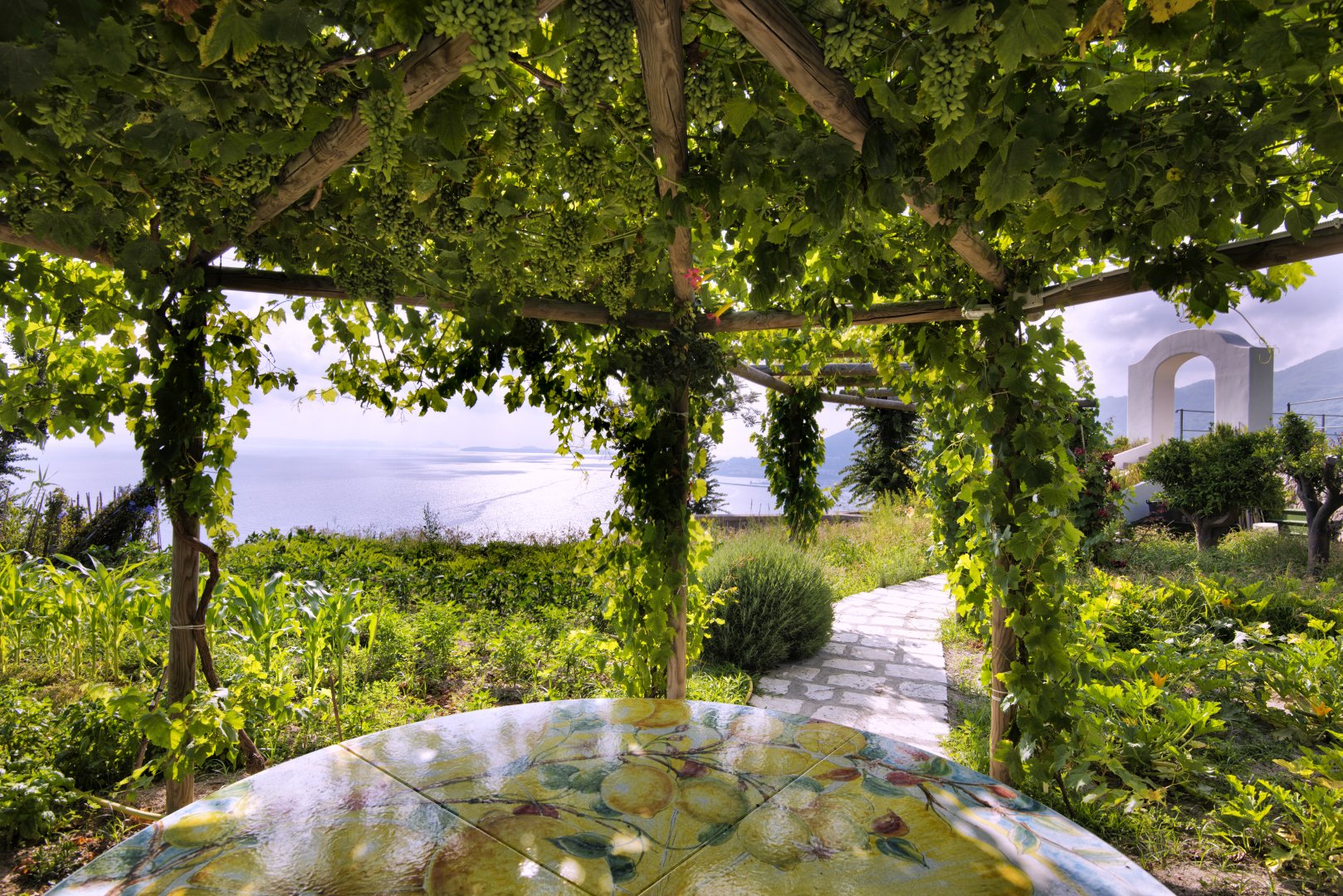 Foto 27 San Montano Resort & Spa Lacco Ameno, 26