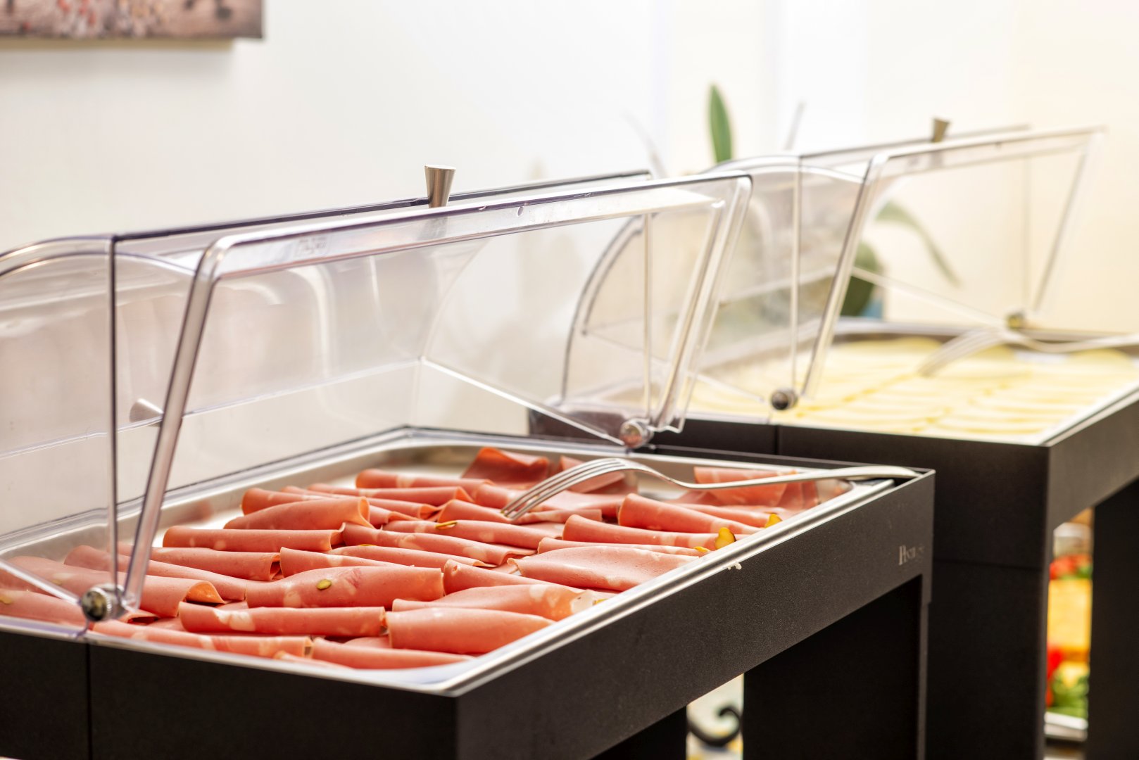 Foto 9 Villa Svizzera Hotel & Thermal SPA Lacco Ameno, 08