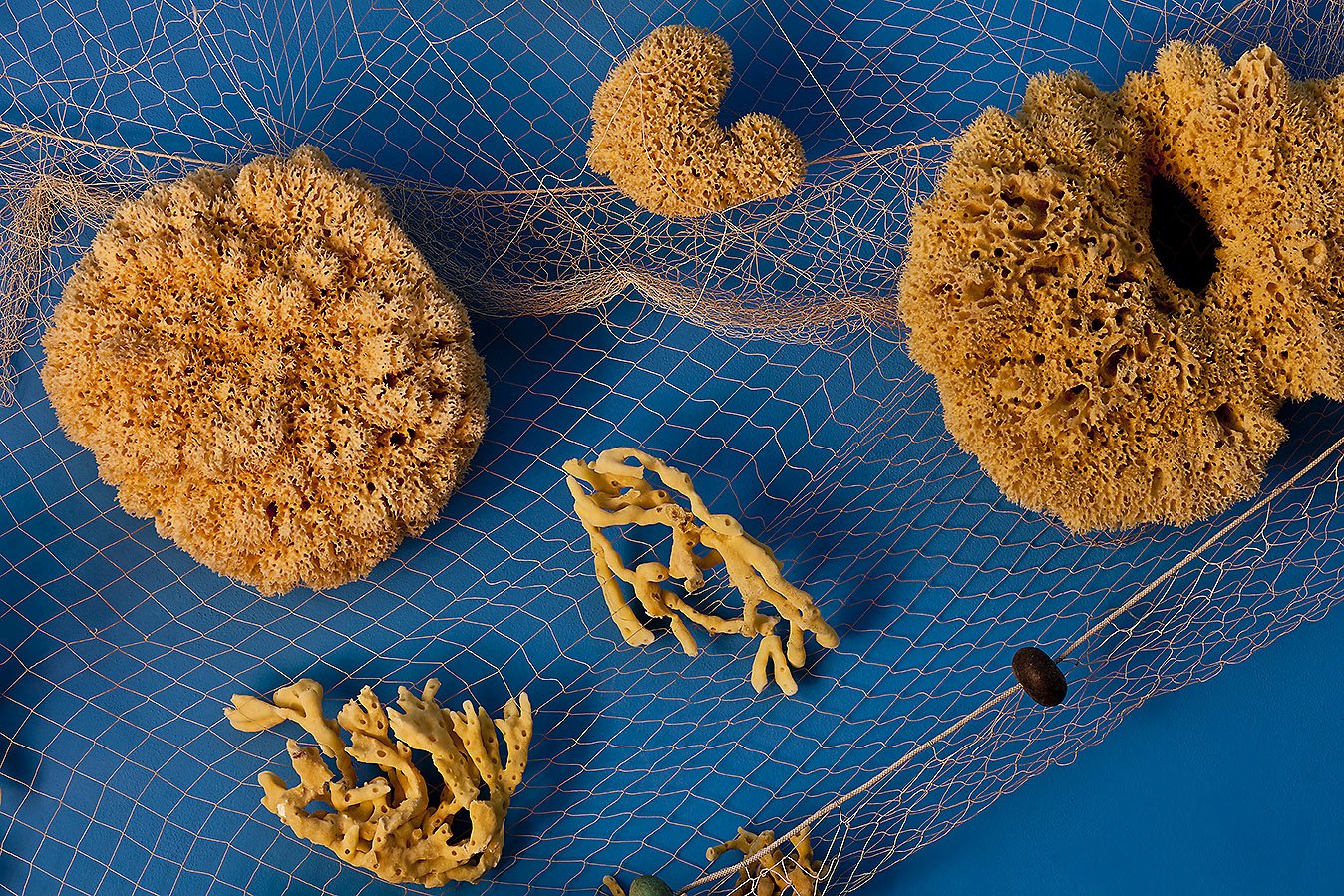 Isola di Lampedusa, 06