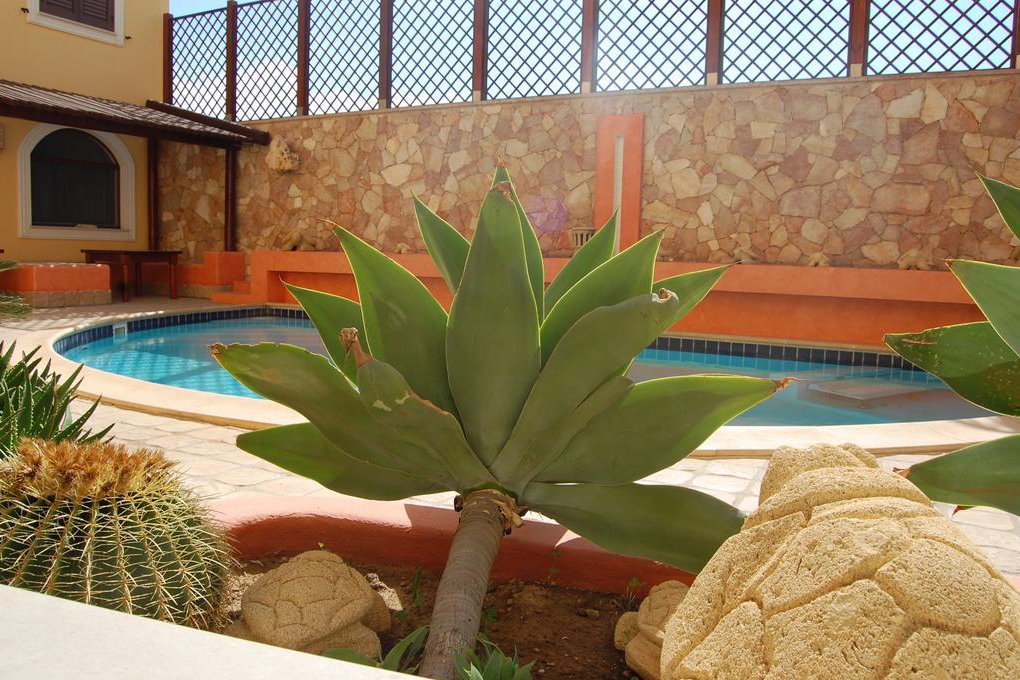 Foto 11 El Mosaico del Sol Isola di Lampedusa, 10