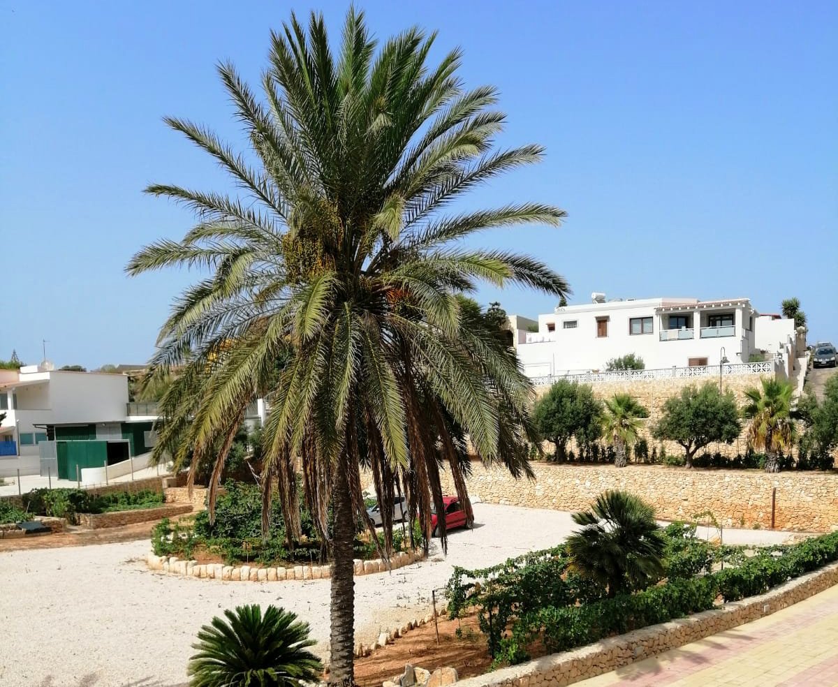 Foto 15 Villa Oasi dei Sogni Isola di Lampedusa, 14