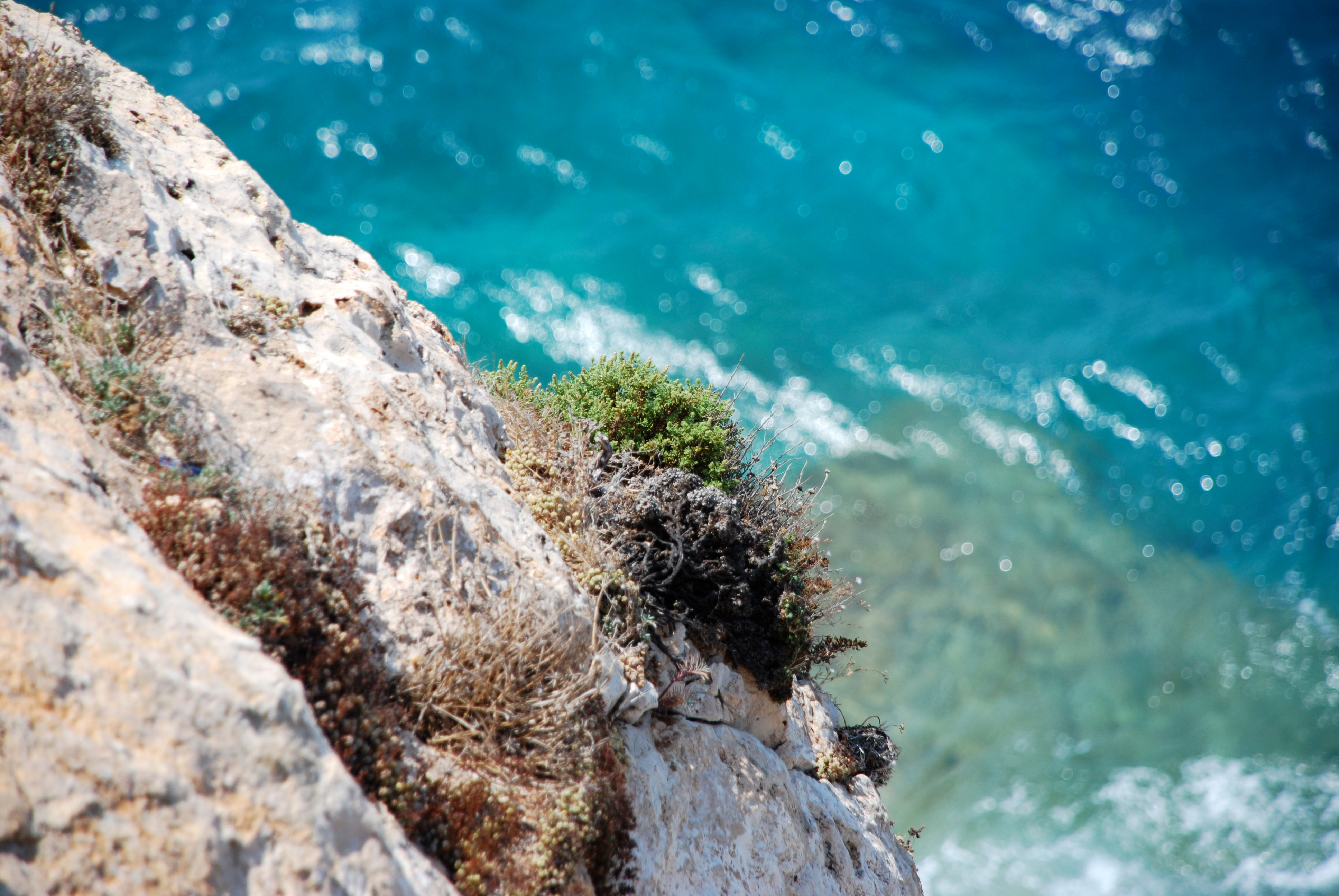 Isola di Lampedusa, 01