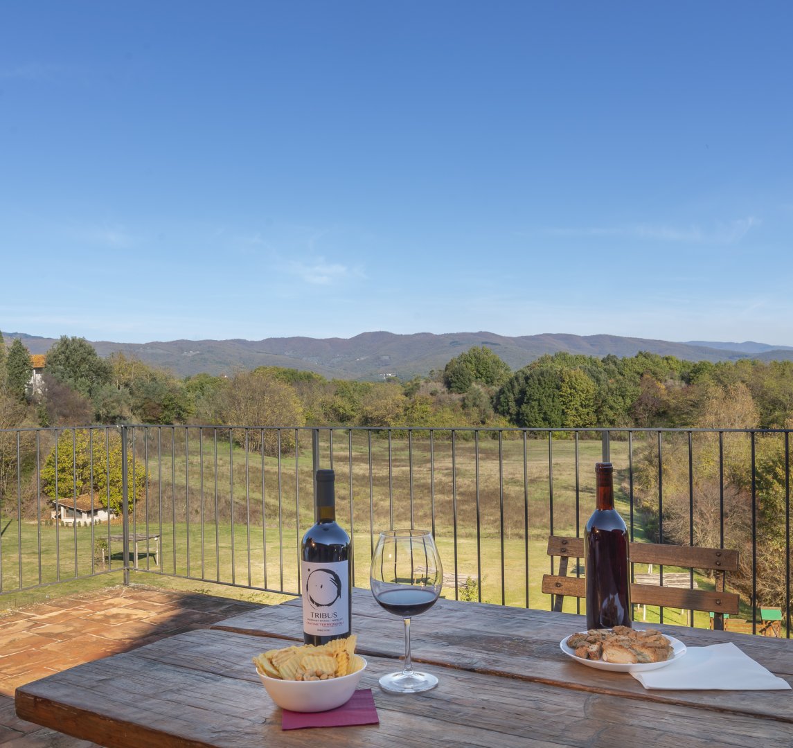 Foto 18 Casa Vacanze Le Fornaci Laterina Pergine Valdarno, 17