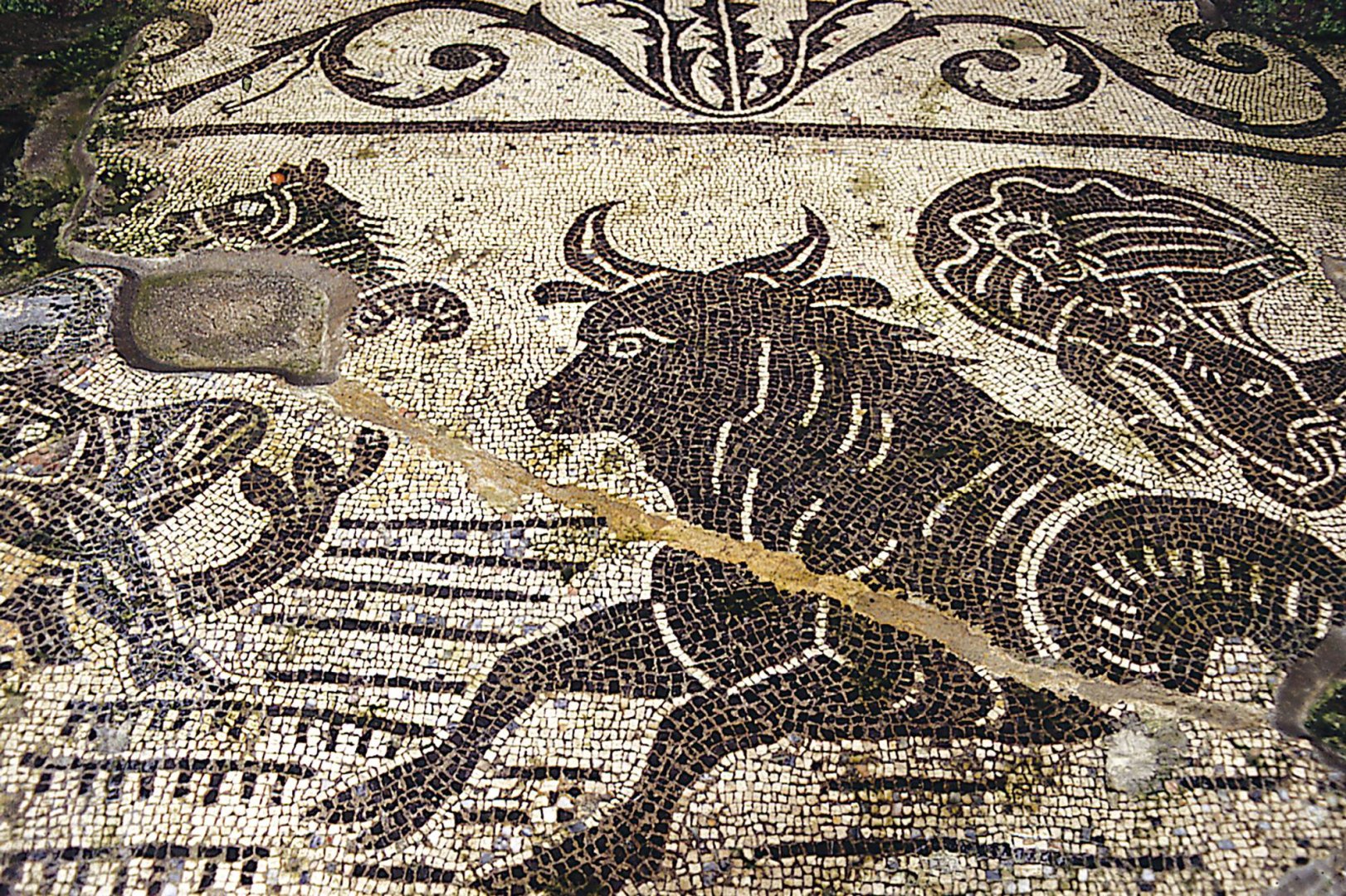 Foto 19 Antica Rheginna Luxury Room Minori, 18