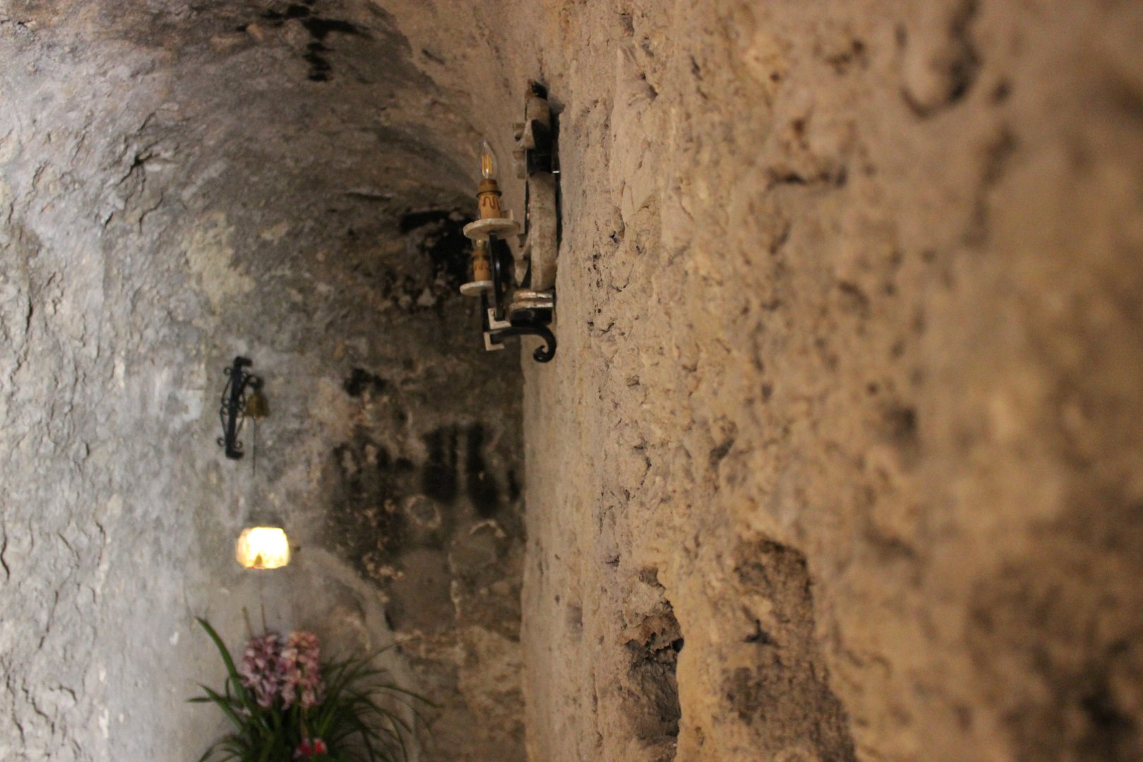 Foto 7 Badia Santa Maria de' Olearia Maiori, 06