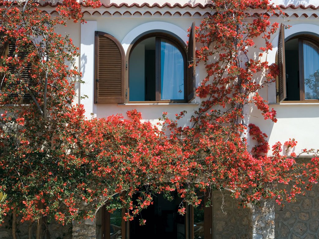 Foto 6 Hotel Club San Diego Maratea, 05