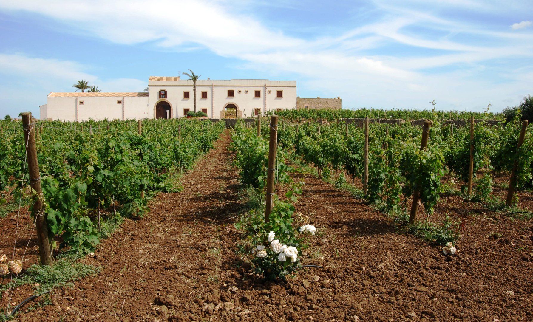 Foto 4 Donna Franca Wine Resort & Farm Estate Marsala, 03