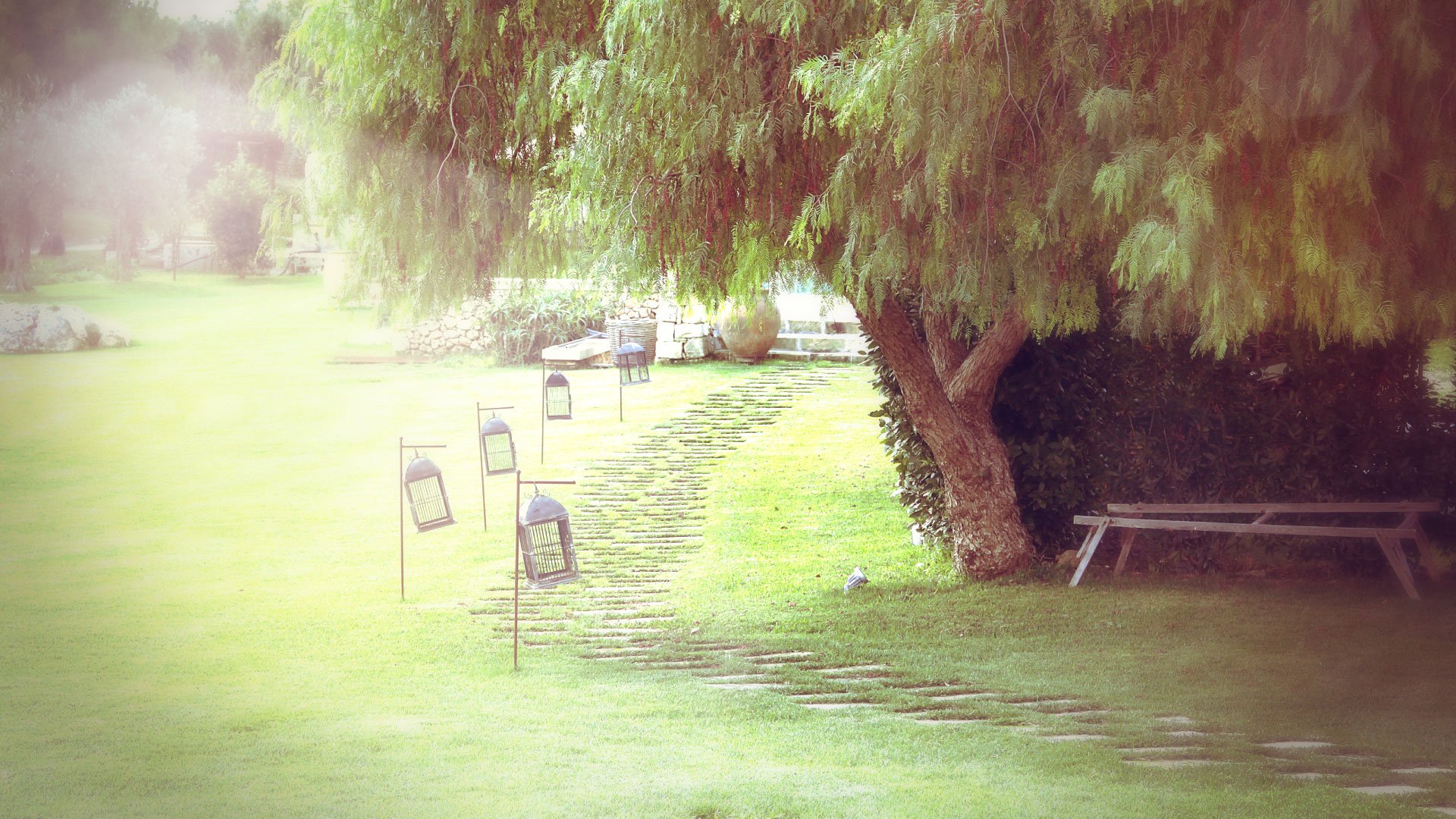 Foto 4 Naturalis Bio Resort & Spa Martano, 03